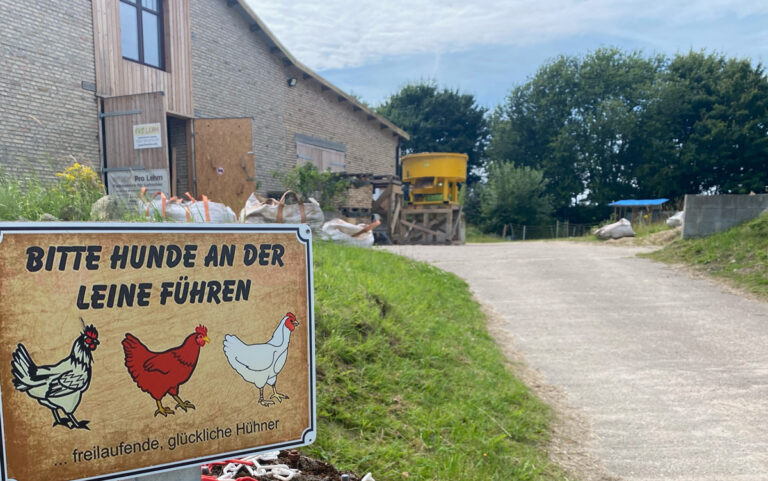 Über uns 2 Thoron Lehm