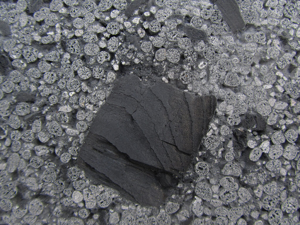 Biokohle im Leichtlehmstein